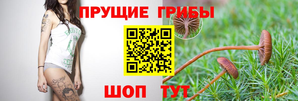 Псилоцибиновые грибы мицелий Советская Гавань