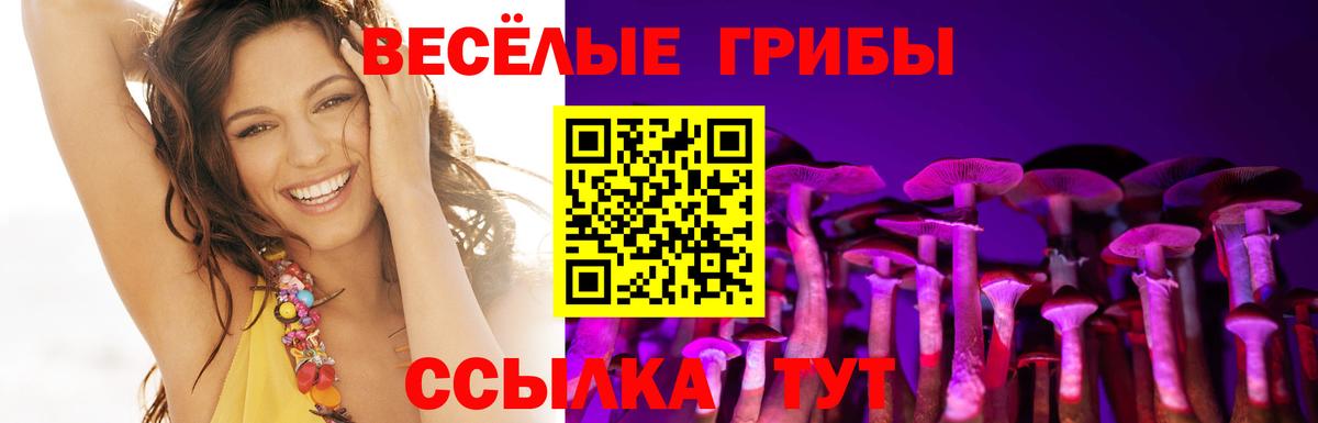 Советская Гавань  цена   Галлюциногенные грибы прущие грибы  Вход с VPN  Галлюциногенные грибы Cubensis 